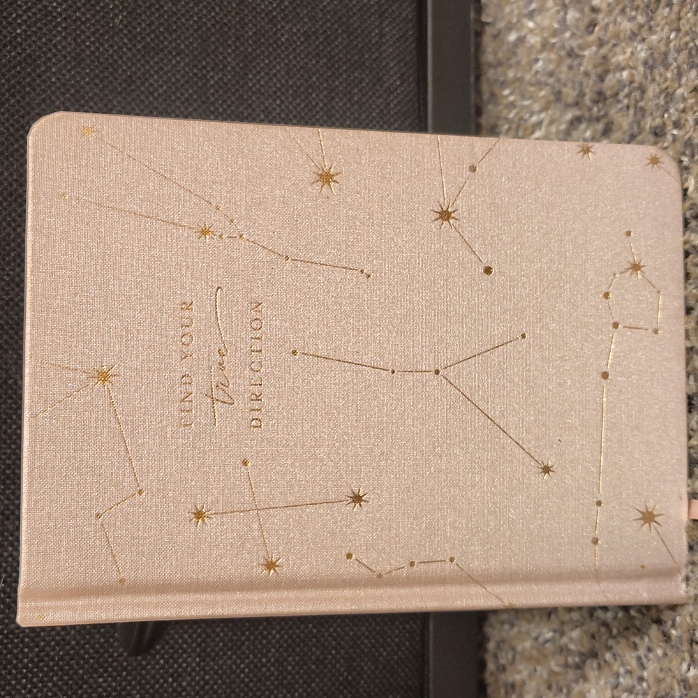 DesignWorks Ink Starry Beige Journal & A NOVEL JOURNAL PETER PAN BUNDLE LISTING - Picture 3 of 14